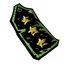 Colonel's Insignia